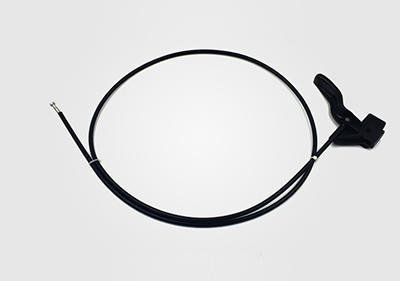 中國最大拉索企業(yè)落戶重慶兩江新區(qū)投產(chǎn)